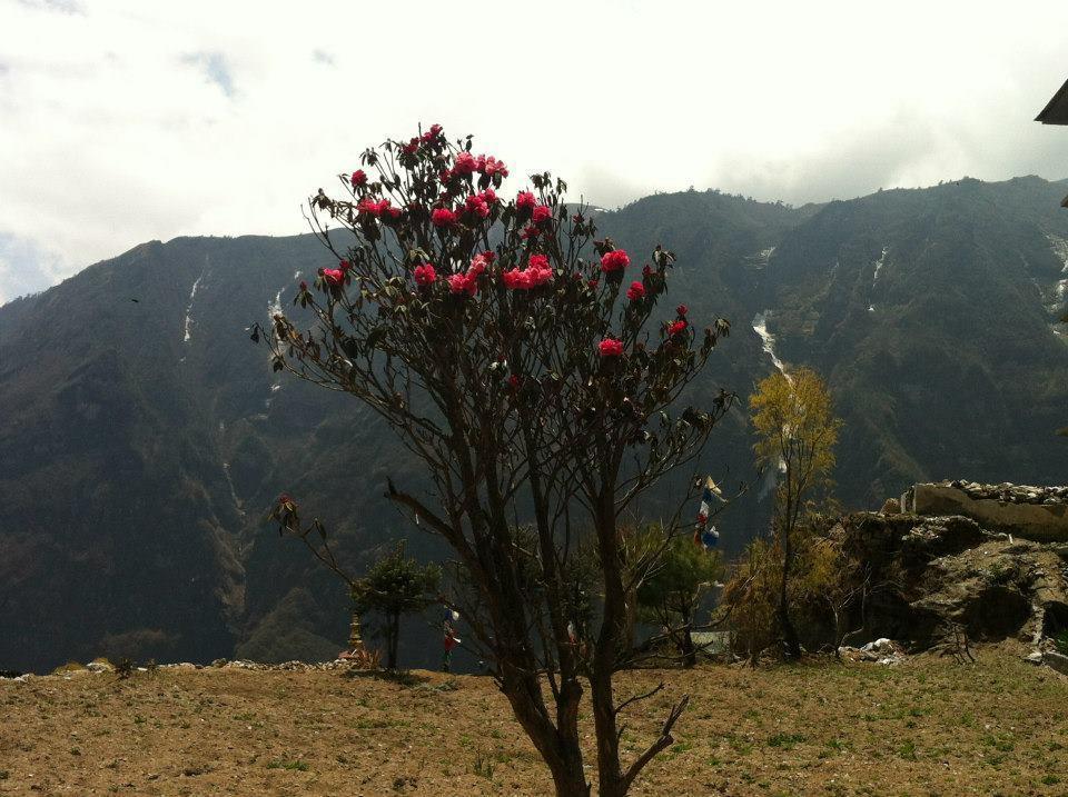 Hotel Namche Nāmche Bāzār Dış mekan fotoğraf